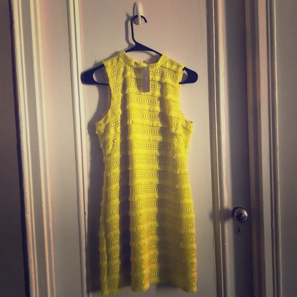 Brand new never worn jcrew dress